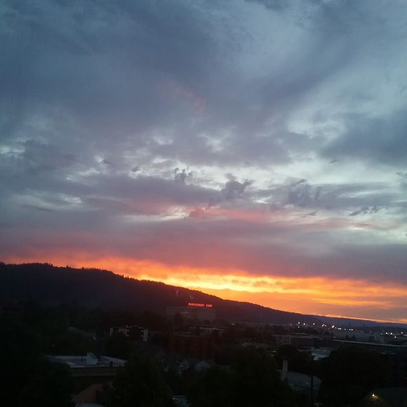 Meet your Posher, Donna - Picture 1 of 1